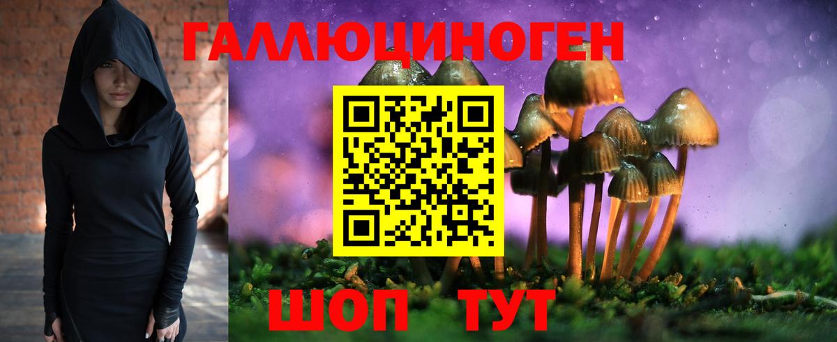 Псилоцибиновые грибы прущие грибы  Вход с VPN  наркота  Протвино 