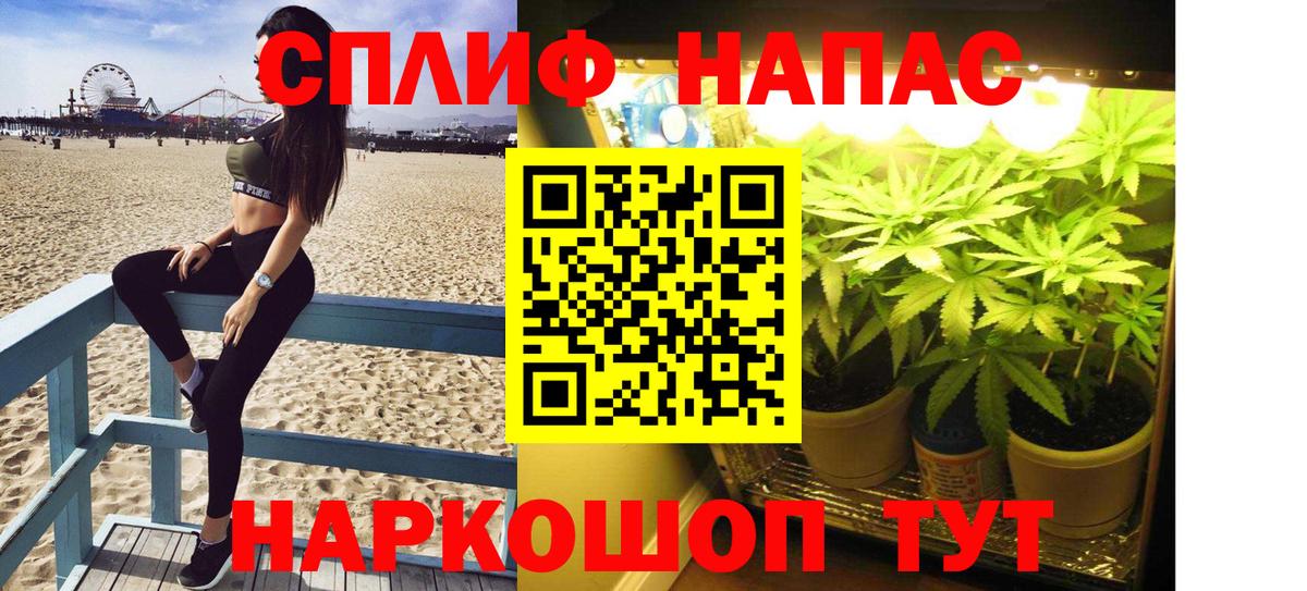 МАРИХУАНА White Widow Протвино